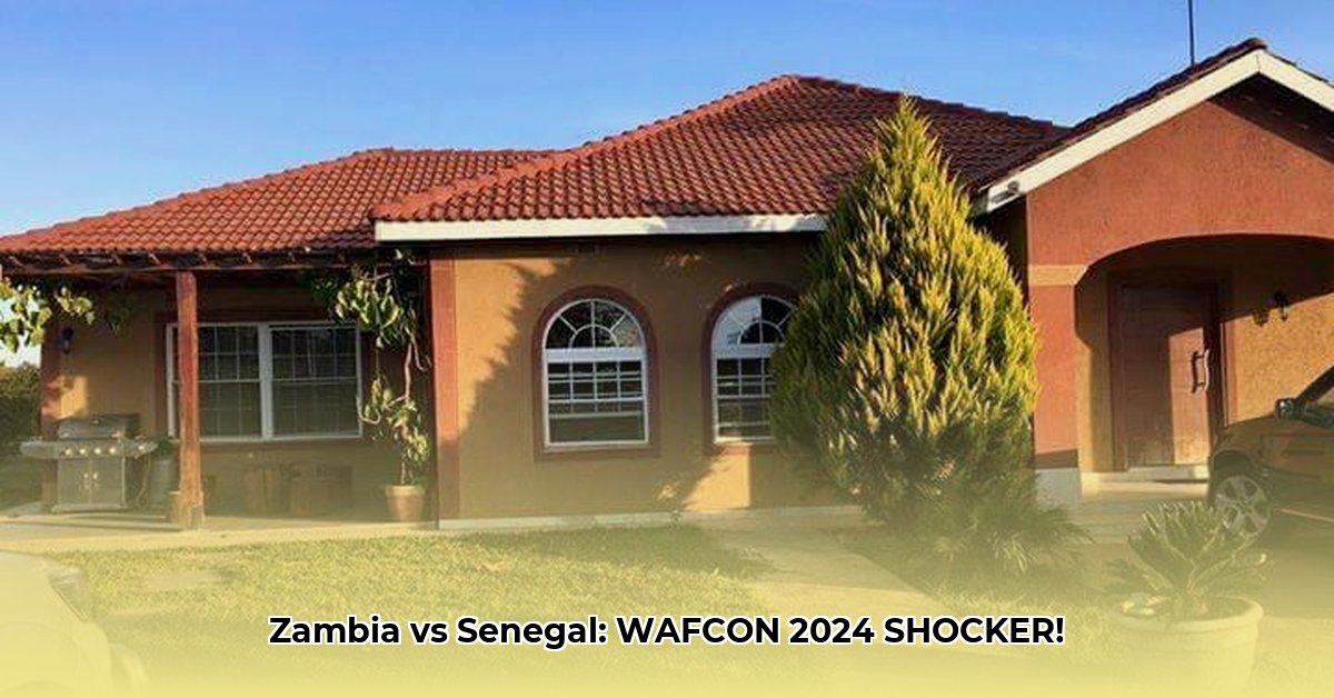 zambia-vs-senegal-live-stream